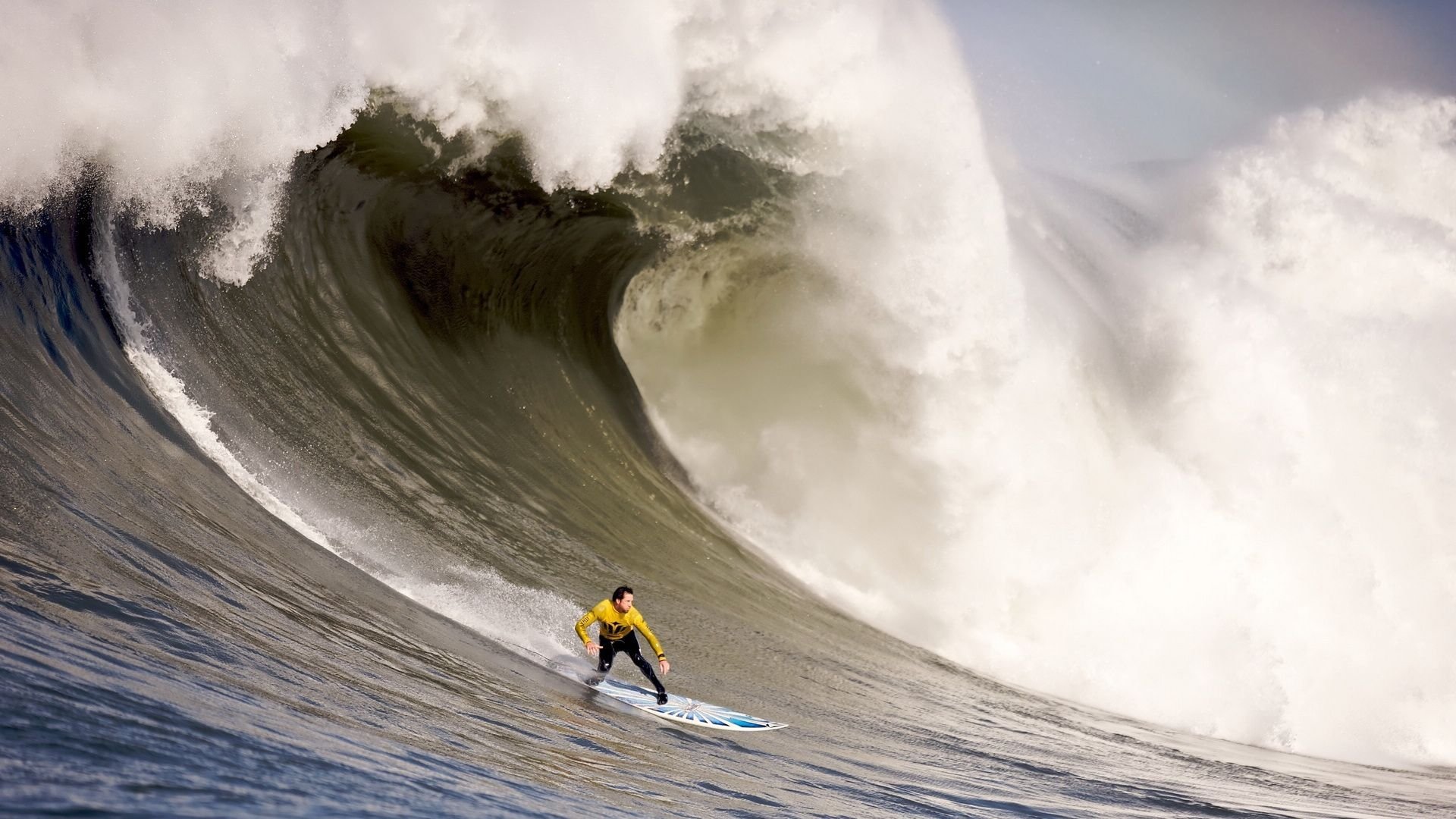 在敌意中破茧,贝林厄姆的怒吼与莱比锡球迷的助威诗篇,敌意中破茧,贝林厄姆的怒吼与莱比锡球迷的助威诗篇